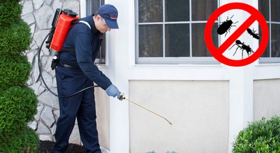 Reyhanlı Akrep İlaçlama böcek ilaçlama ve haşere kontrolü — ilaclama-tr.com